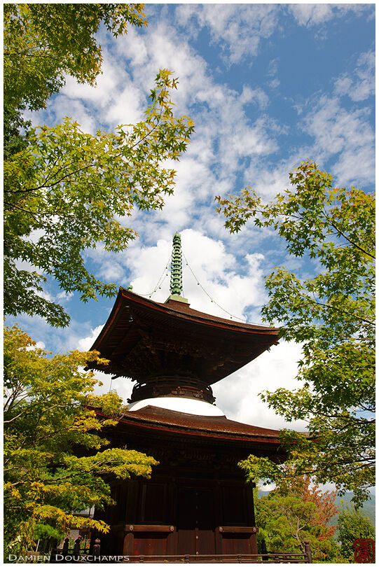 Maple trees surrounding Jojakko-ji's pagoda (常寂光寺)