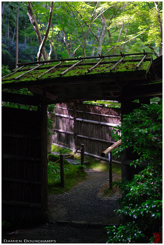Gate of a secluded zen garden (Giyo-ji 祇王寺)