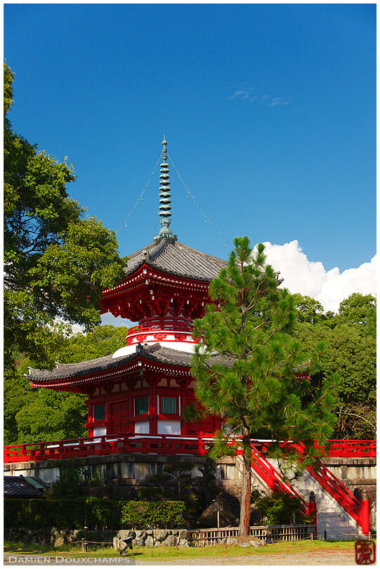 Daikaku-ji's red pagoda (大覚寺)