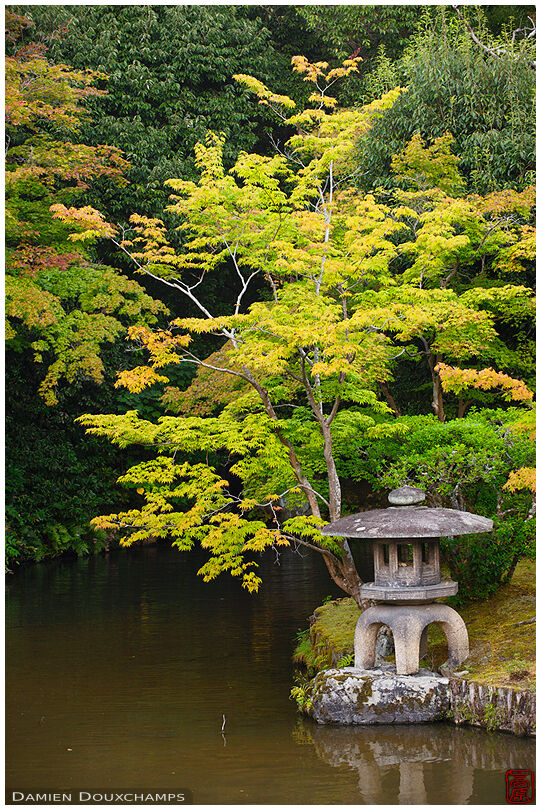 Lantern in zen garden, Seiryo-ji (清涼寺)