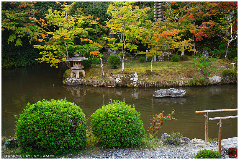 Pond in zen garden, Seiryo-ji (清涼寺)