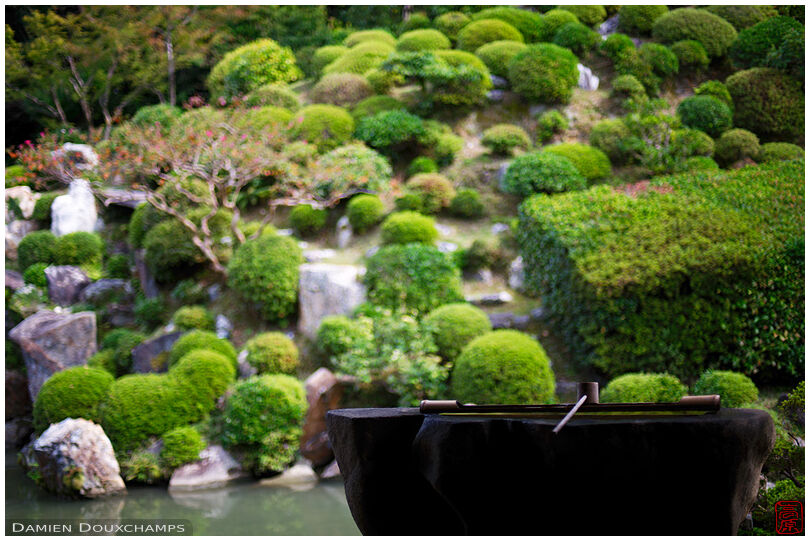 Water basin and zen garden in Chishaku-in (智積院)