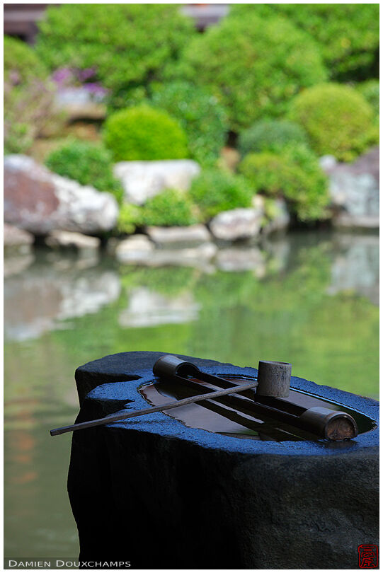 Washbasin and pond of Chishaku-in (智積院)