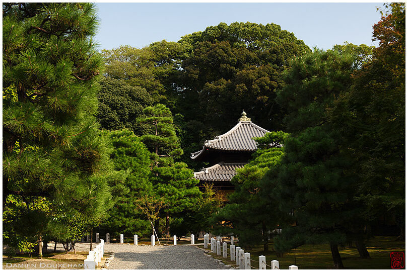 Myoho-in's gardens (妙法院)