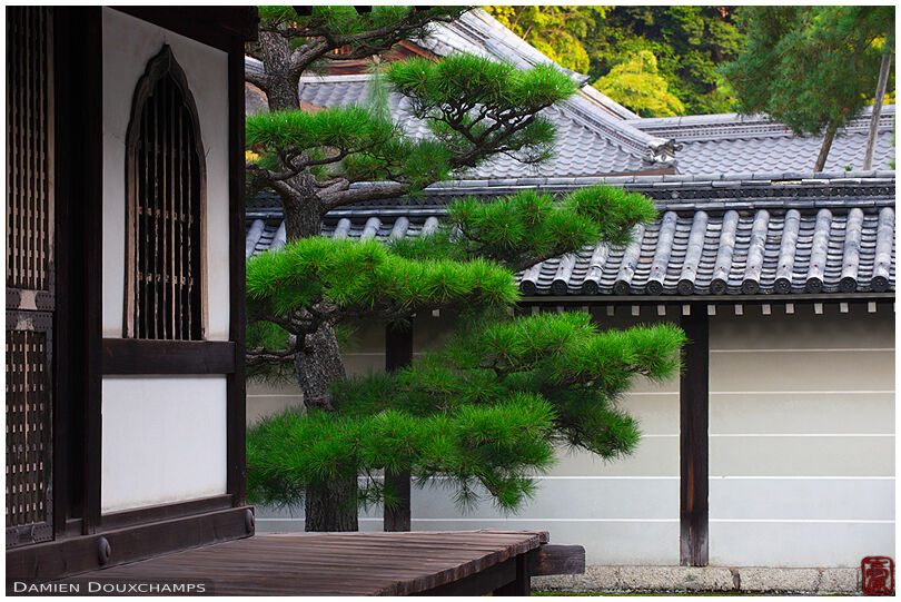 In the courtyard of Senyu-ji (泉涌寺)