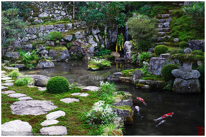 Zen garden with carps, Jikko-in (実光院)