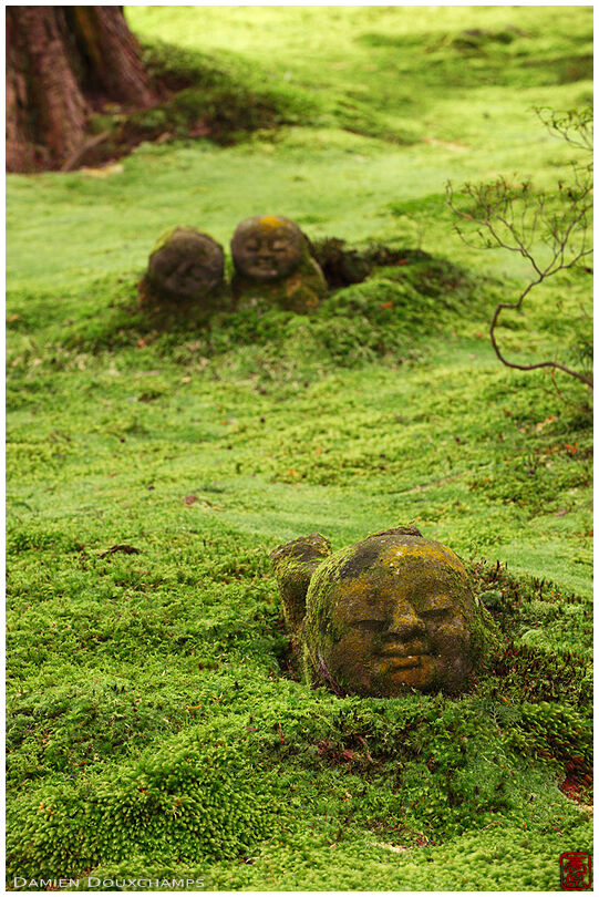 Jizo statues in moss garden, Sanzen-in (三千院)