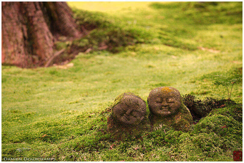 Jizo statues in moss garden, Sanzen-in (三千院)