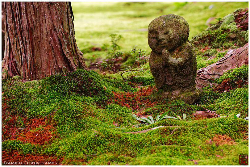Jizo statue praying in moss garden, Sanzen-in (三千院)