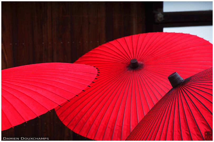 Traditional red wagasa umbrellas in Hokyo-ji (宝鏡寺)
