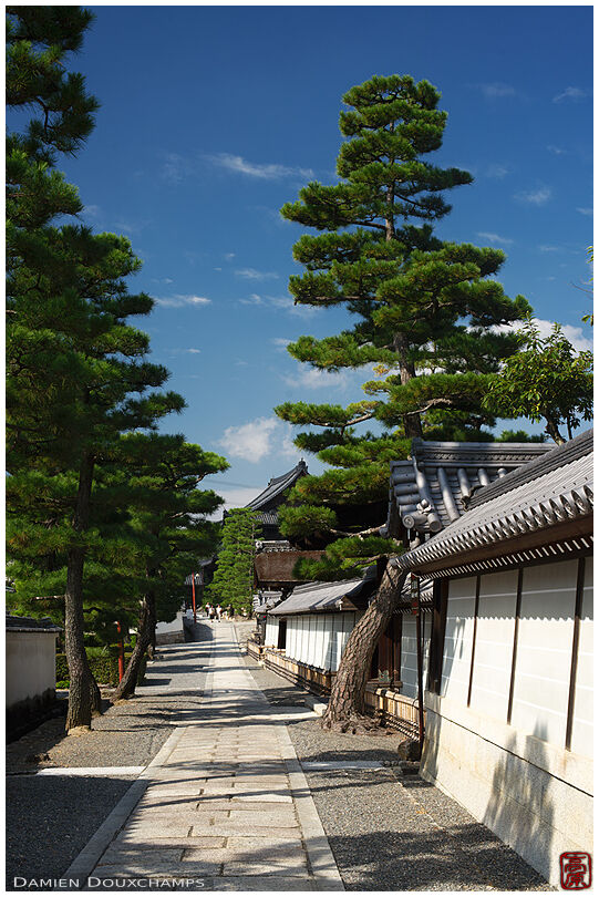 Street in Myoshin-ji temple complex (妙心寺)