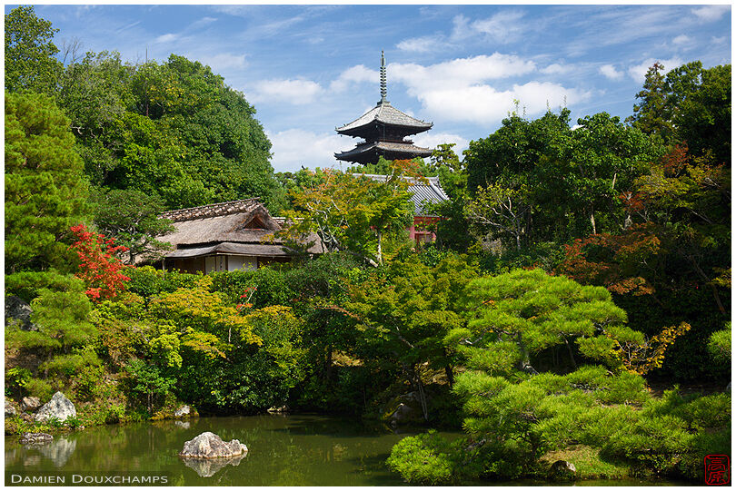 Pagoda and tea house in Ninna-ji zen garden (仁和寺)