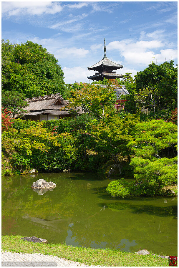 Pagoda And Tea House In Zen Garden Ninna Ji 仁和寺