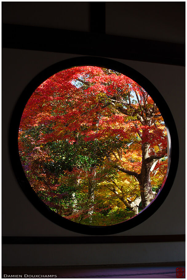 Round Enlightenment Window In Autumn Genko An 源光庵