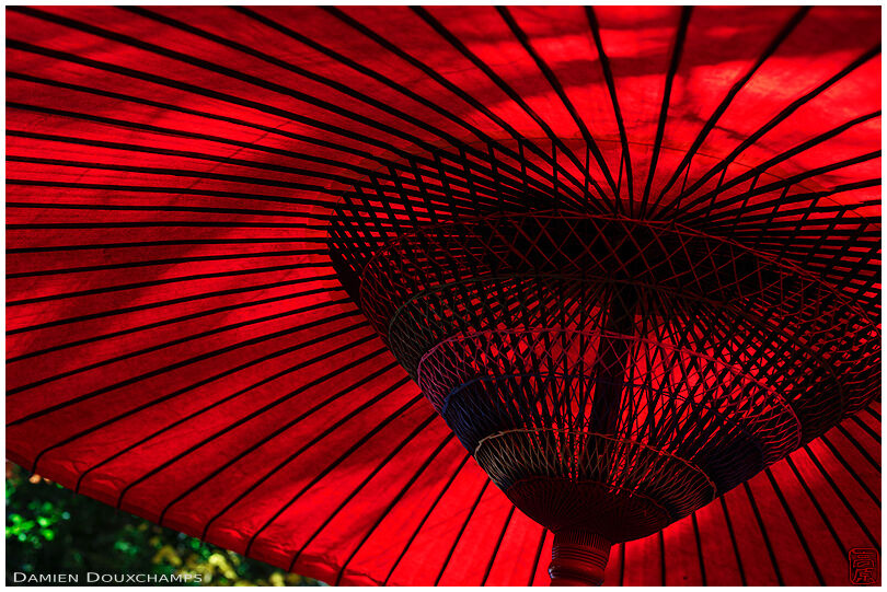 Red umbrella (Josho-ji 常照寺)