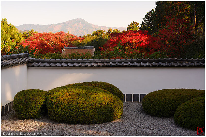 Zen garden hidden in Kyoto hills in autumn (Shoden-ji 正伝寺)
