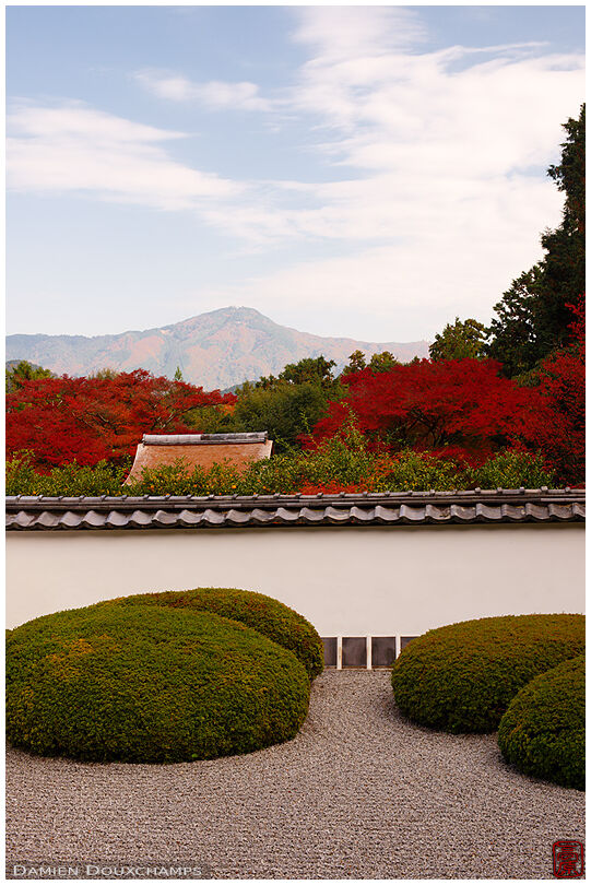 Zen garden in autumn with view on Kyoto hills (Shoden-ji 正伝寺)