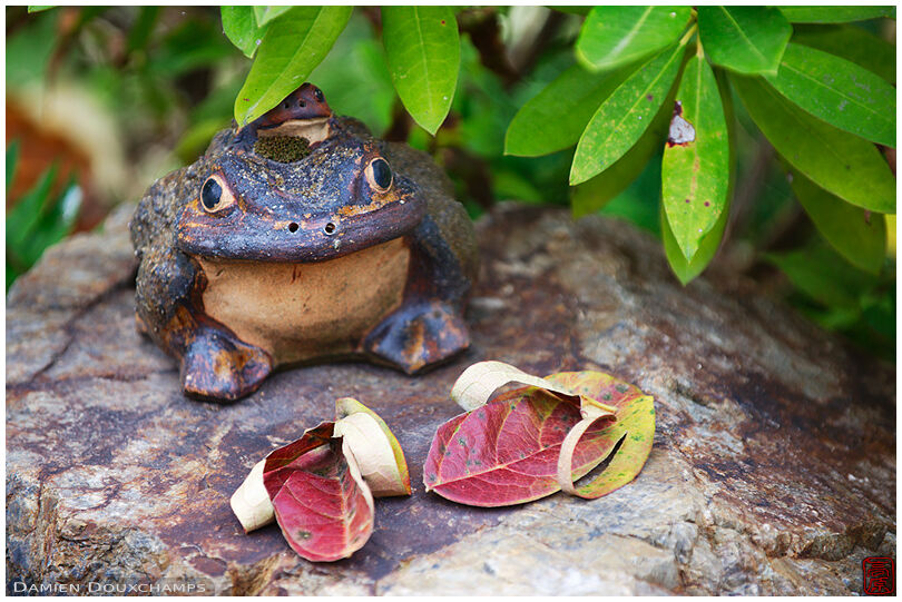 Frog and leaf sandals (Shoden-ji 正伝寺)