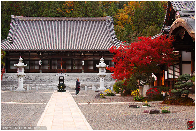 Monk walking on temple grounds (Myouman-ji 妙満寺)