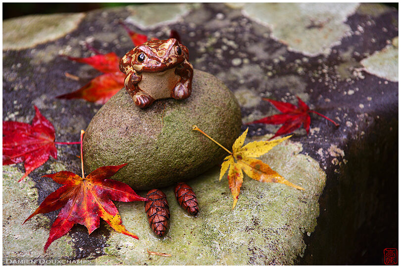 Frog with fall composition (Kouzan-ji 高山寺)