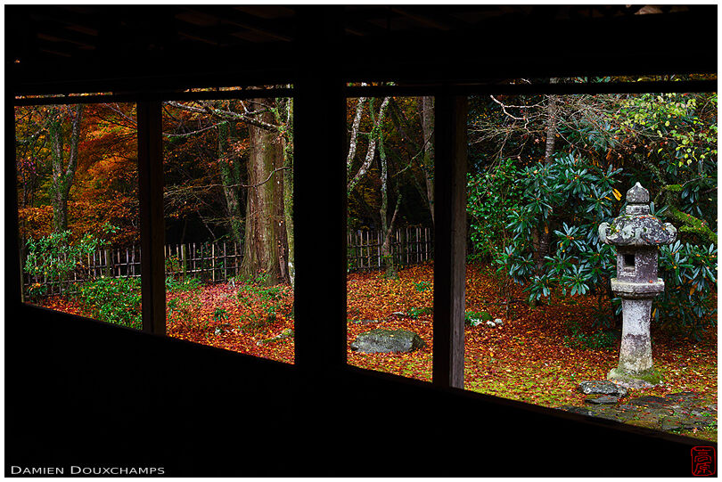 Windows on forest and lantern (Kouzan-ji 高山寺)