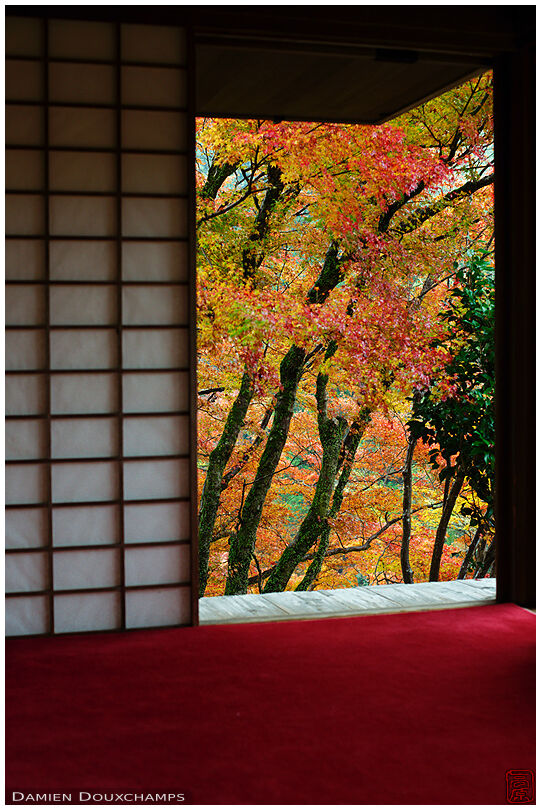 Autumn colors from meditation hall (Kouzan-ji 高山寺)