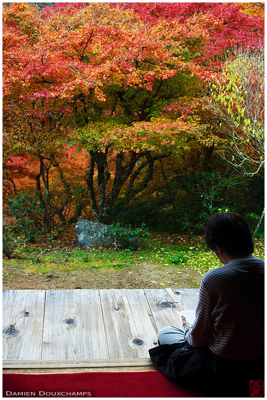 Reading on Kouzan-ji meditation terrace (高山寺)