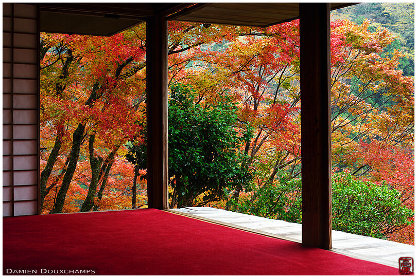 Meditation terrace in autumn (Kouzan-ji 高山寺)