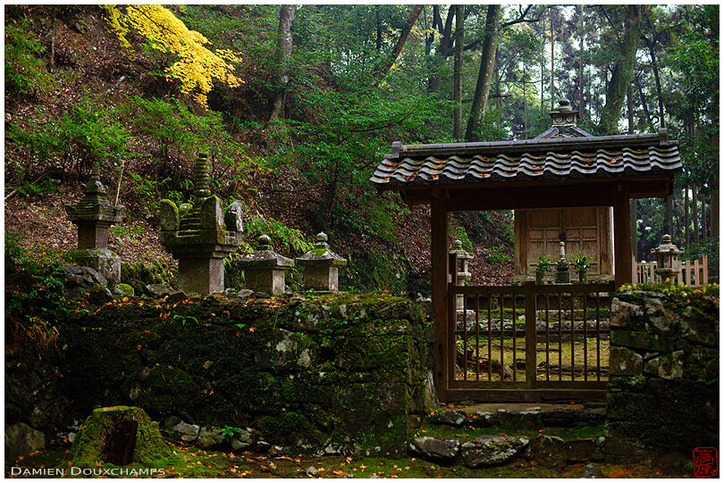 Entrance of graveyard in forest (Kouzan-ji 高山寺)