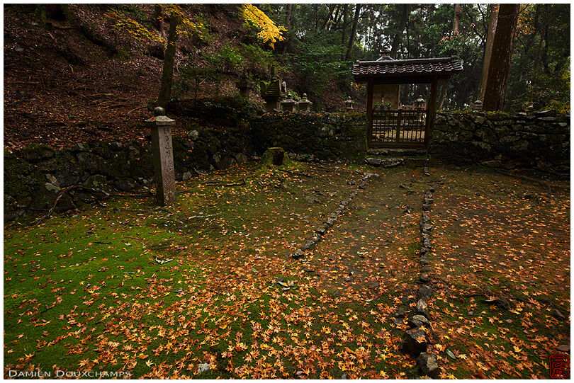 Path to a graveyard in autumn (Kouzan-ji 高山寺)