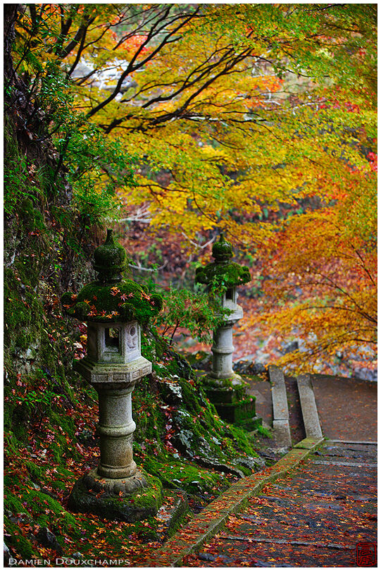 Lanterns along the stairs leading to Saimyo-ji (西明寺)