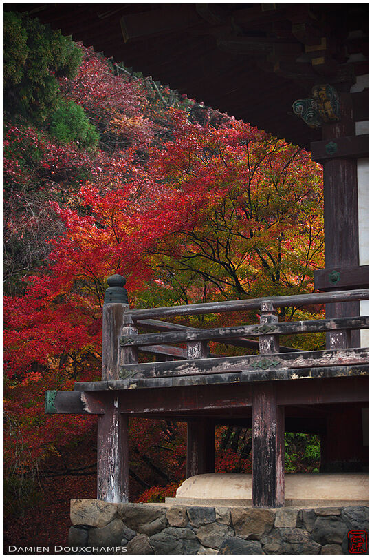 Temple terrace (Jingo-ji 神護寺)