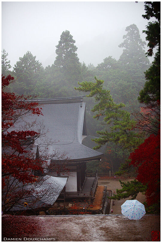 Forgotten umbrella (Jingo-ji 神護寺)