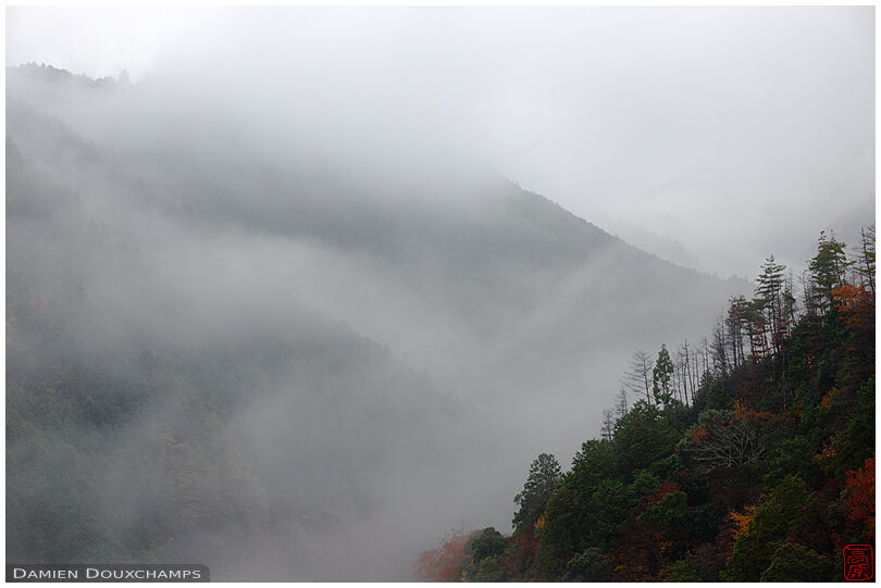 Kyoto hills in the fog from Jingo-ji (神護寺)