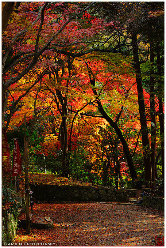 Autumn colors at the entrance of Bishamon-do temple (毘沙門堂)