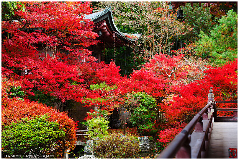 Temple garden in autumn (Bishamon-do 毘沙門堂)