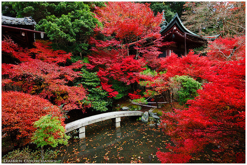 Temple garden with pond in autumn (Bishamon-do 毘沙門堂)