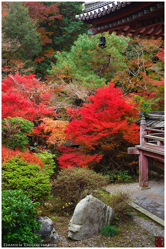 Temple garden in autumn, version 2 (Bishamon-do 毘沙門堂)