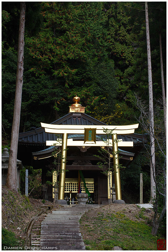 Golden torii (Honkoku-ji 本圀寺)
