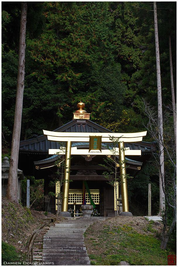 Golden torii (Honkoku-ji 本圀寺)