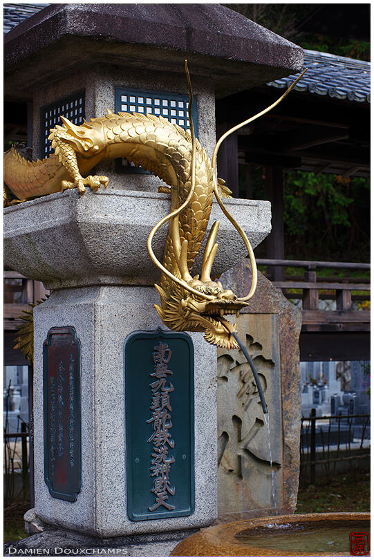 Golden gradon dountain (Honkoku-ji 本圀寺)