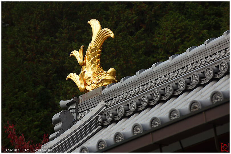 Fish decoration atop a temple gate (Honkoku-ji 本圀寺)