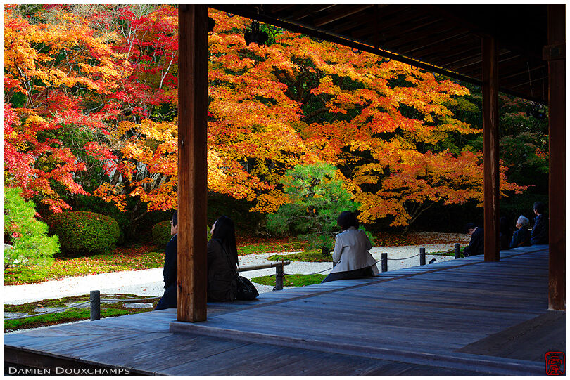 Waching autumn colors in Tenja-an (天授庵)