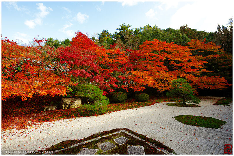 Zen garden in autumn (Tenja-an 天授庵)