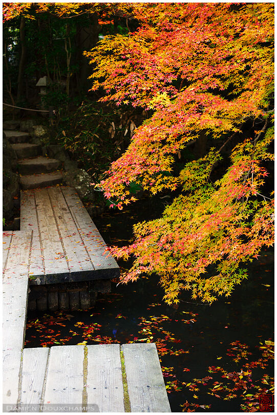 Wooden bridge across pon in zen garden (Tenja-an 天授庵)