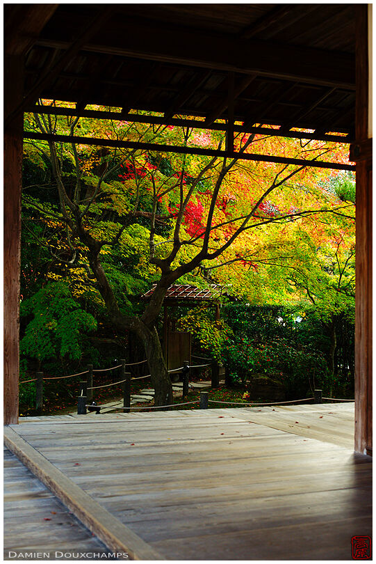 Temple terrace in autumn (Tenja-an 天授庵)
