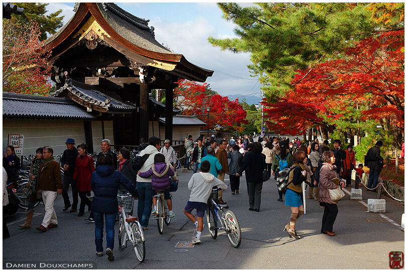 Crowded temple grounds in autumn (Nanzen-ji 南禅寺)