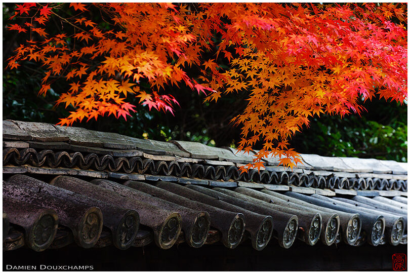 Tiles on roof crest in autumn (Konchi-in 金地院)