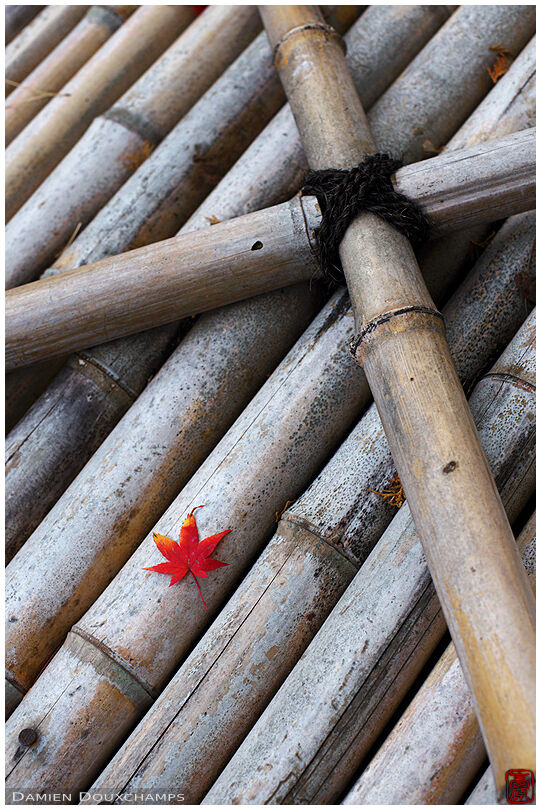 Maple leaf on bamboo well cover (Konchi-in 金地院)
