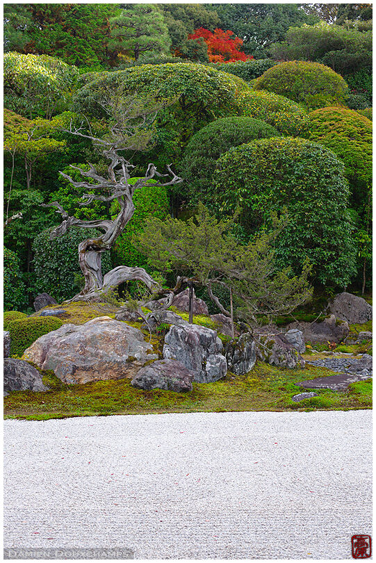 Edge of a zen garden (Konchi-in 金地院)